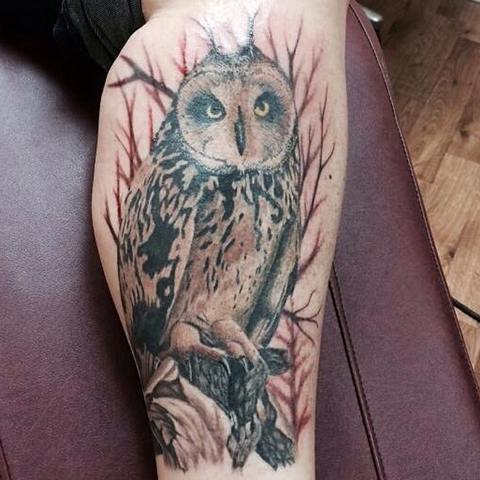 MJ Bonanno - Owl Tattoo